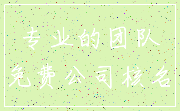 专业的团队_免费公司核名