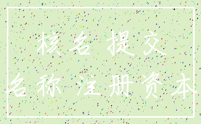 核名 提交_名称 注册资本