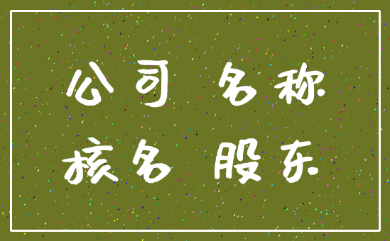 公司 名称_核名 股东