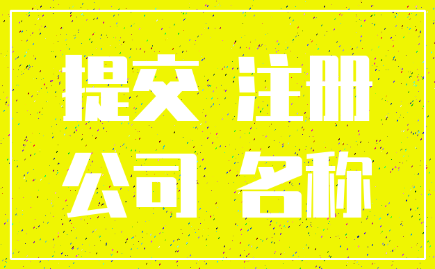 提交 注册_公司 名称