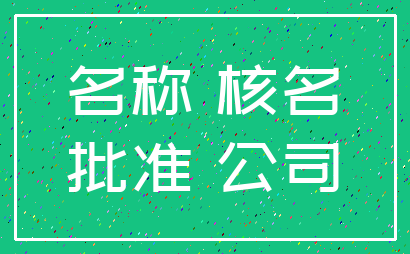 名称 核名_批准 公司