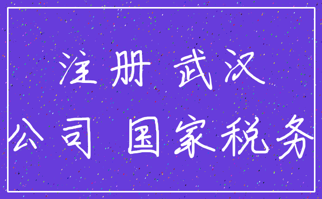 注册 武汉_公司 国家税务