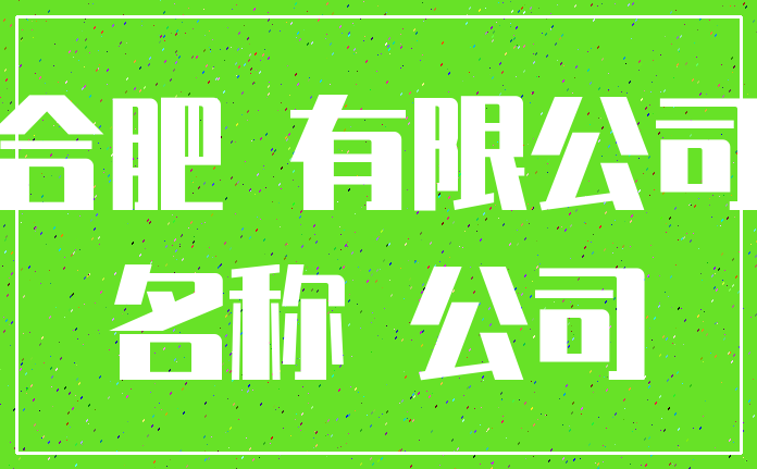 合肥 有限公司_名称 公司