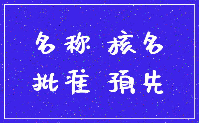 名称 核名_批准 预先