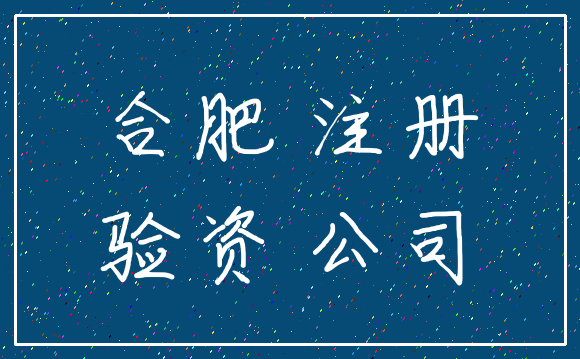 合肥 注册_验资 公司