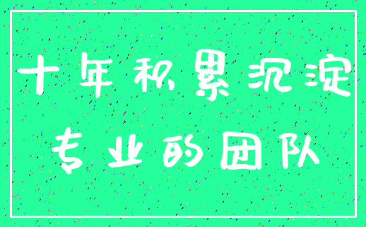 十年积累沉淀_专业的团队