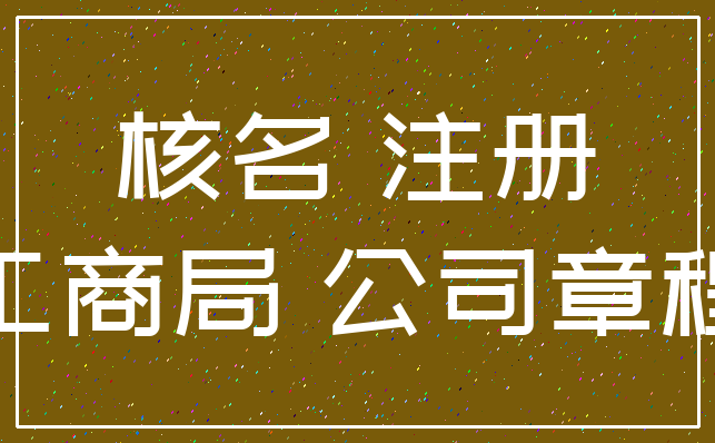 核名 注册_工商局 公司章程