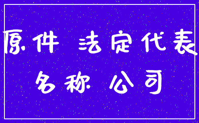 原件 法定代表_名称 公司