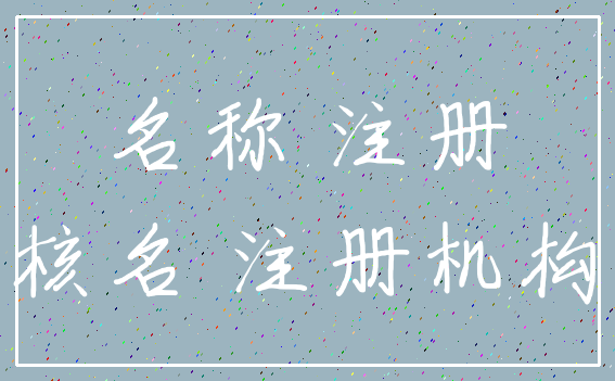 名称 注册_核名 注册机构