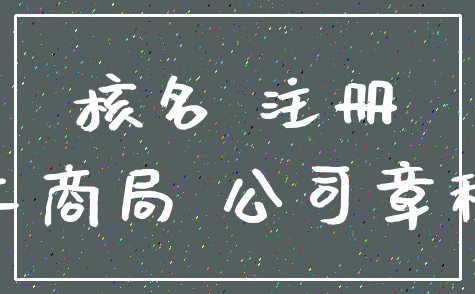 核名 注册_工商局 公司章程