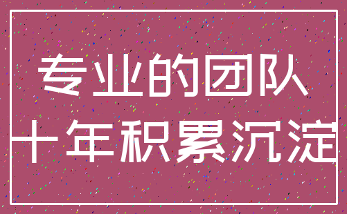 专业的团队_十年积累沉淀