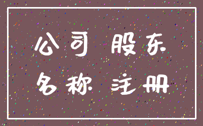 公司 股东_名称 注册
