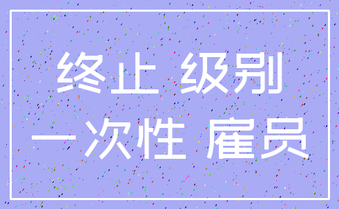 终止 级别_一次性 雇员