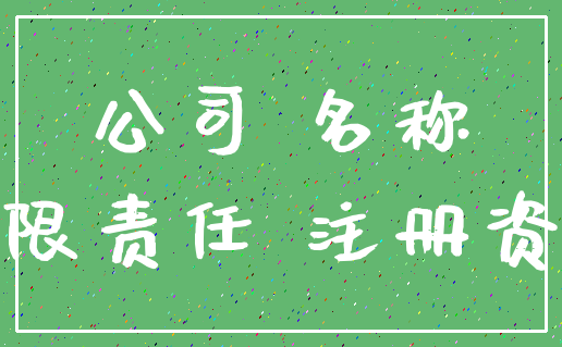 公司 名称_有限责任 注册资本