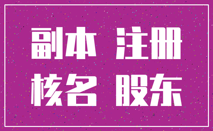 副本 注册_核名 股东