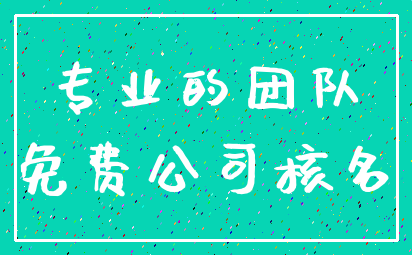 专业的团队_免费公司核名