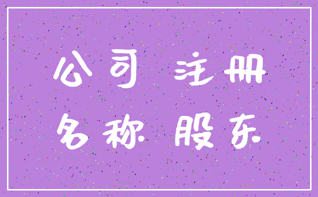 公司 注册_名称 股东