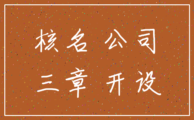 核名 公司_三章 开设