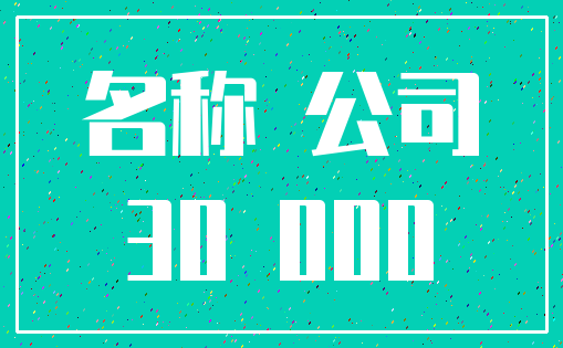 名称 公司_30 000