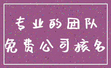 专业的团队_免费公司核名