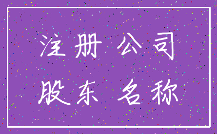 注册 公司_股东 名称