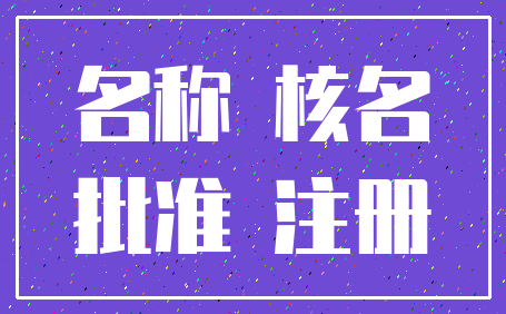 名称 核名_批准 注册
