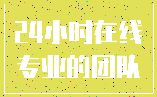 24小时在线_专业的团队