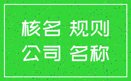 核名 规则_公司 名称