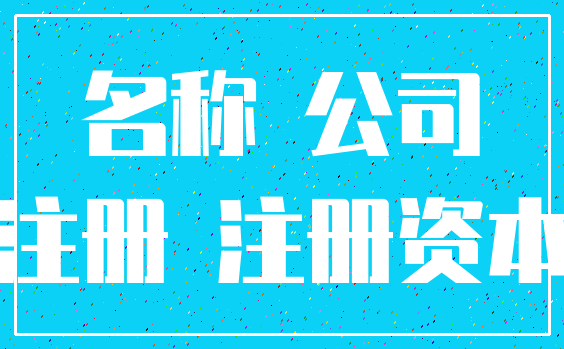 名称 公司_注册 注册资本