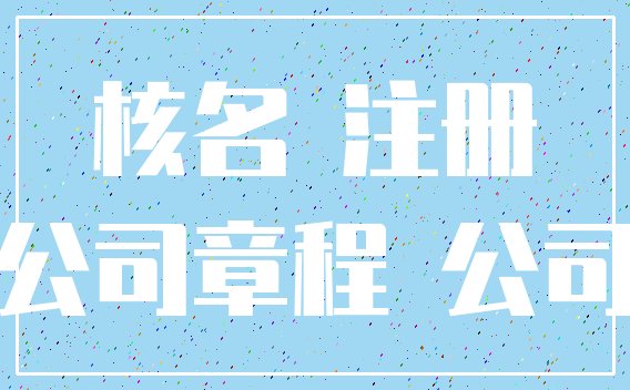 核名 注册_公司章程 公司