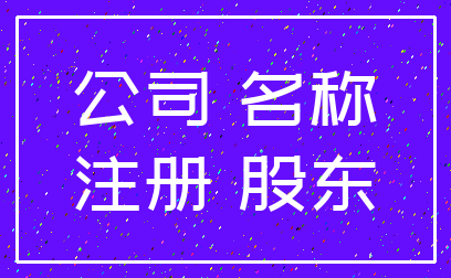 公司 名称_注册 股东