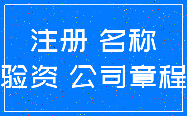 注册 名称_验资 公司章程
