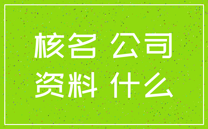 核名 公司_资料 什么