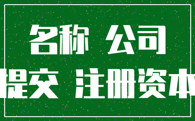 名称 公司_提交 注册资本