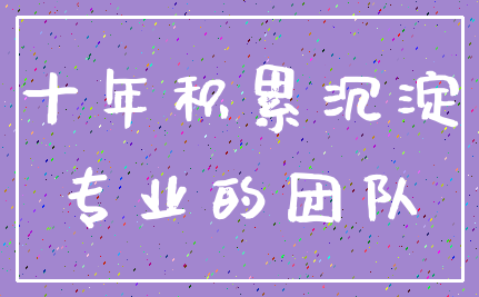 十年积累沉淀_专业的团队