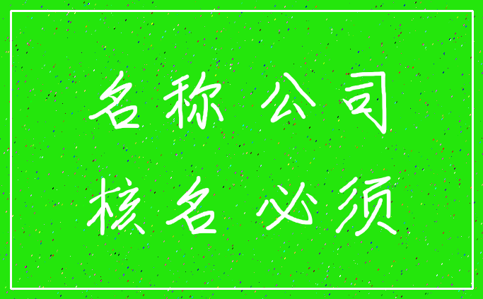 名称 公司_核名 必须