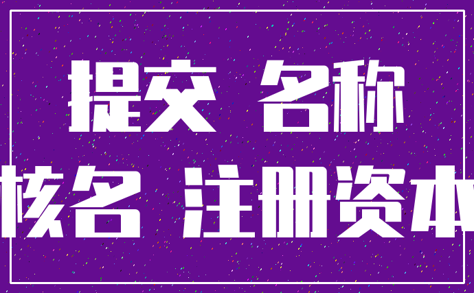 提交 名称_核名 注册资本