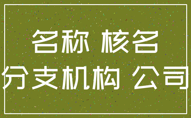 名称 核名_分支机构 公司