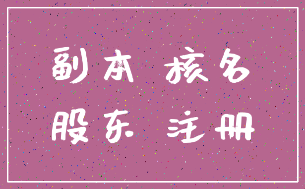 副本 核名_股东 注册