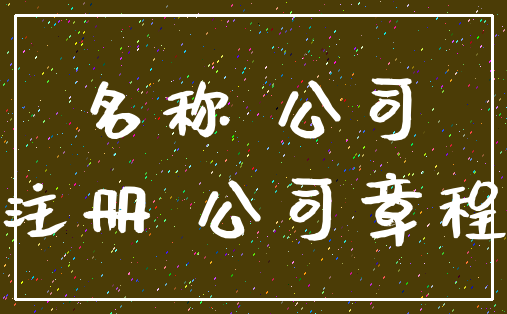 名称 公司_注册 公司章程