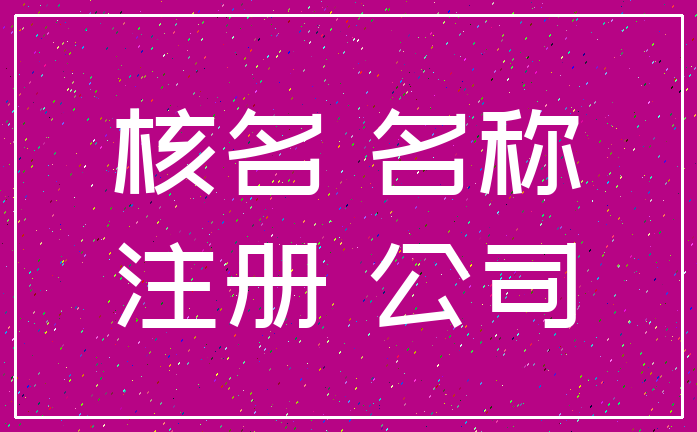 核名 名称_注册 公司