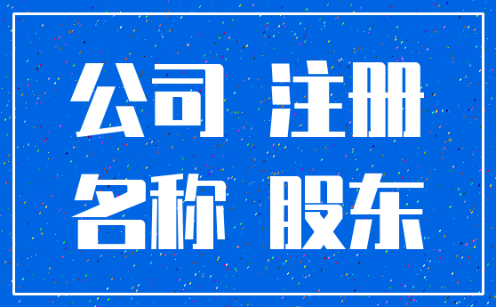 公司 注册_名称 股东