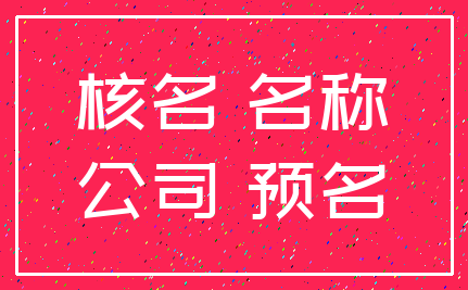 核名 名称_公司 预名