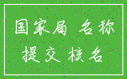 国家局 名称_提交 核名