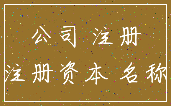 公司 注册_注册资本 名称