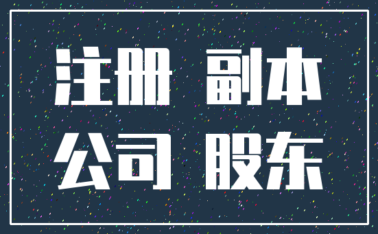 注册 副本_公司 股东