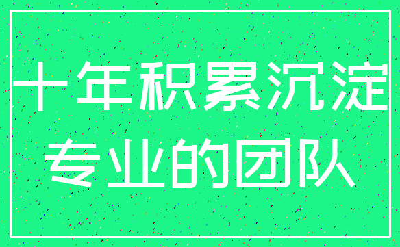 十年积累沉淀_专业的团队