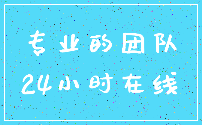 专业的团队_24小时在线