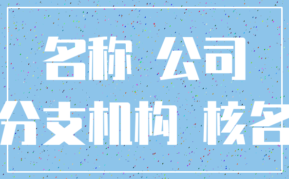 名称 公司_分支机构 核名