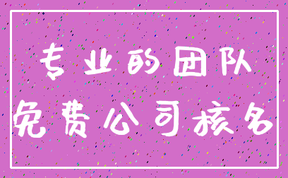 专业的团队_免费公司核名